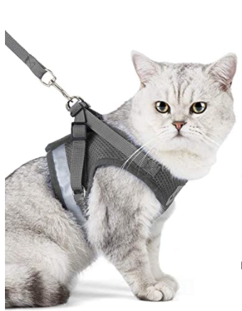 Modernes Katzengeschirr mit Leine, stilvoll und sicher für alle Katzenrassen beim Spaziergang.