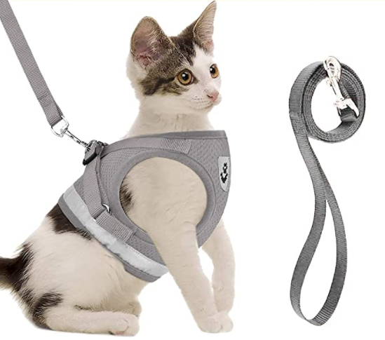 Gepolstertes Katzengeschirr mit Leine, maximaler Komfort & Schutz für Ihr Haustier beim Spaziergang.