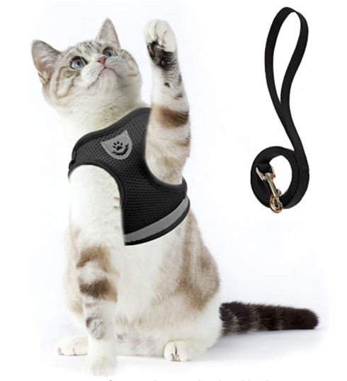 Bequemes Katzengeschirr mit Leine, ideal für Anfänger, die ihre Katze sicher führen möchten.