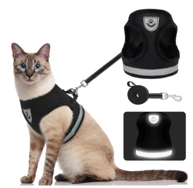 Ausbruchssicheres Katzengeschirr & Leine, zuverlässiger Halt für sichere Outdoor-Abenteuer.