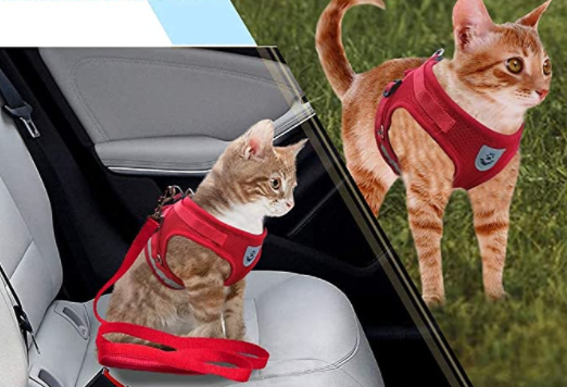 Reflektierendes Katzengeschirr & Leine Set, komfortabel und sicher für Outdoor-Spaziergänge.