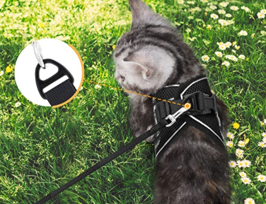 Robustes Katzengeschirr mit passender Leine, ausbruchssicher für entspannte Haustier-Spaziergänge.