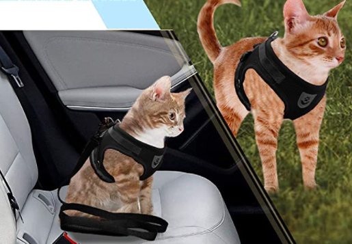Praktisches Katzengeschirr mit Leine, bietet Komfort und Sicherheit für Ihre Katze.