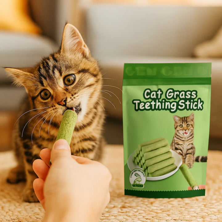 Katzengras Sticks: Ein gesunder Katzensnack, der die Verdauung anregt und die Zähne natürlich reinigt.
