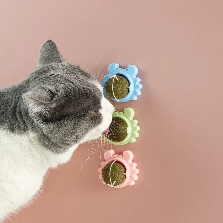 Katzenminze Ball für glückliche Katzen, interaktives Katzenspielzeug für Stressabbau & Aktivität.