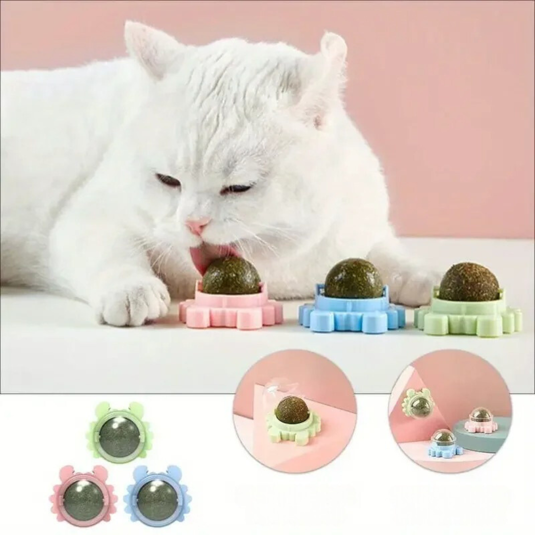 Glückliche Katze spielt aktiv mit Katzenminze Ball, fördert Interaktion und beugt Langeweile vor.