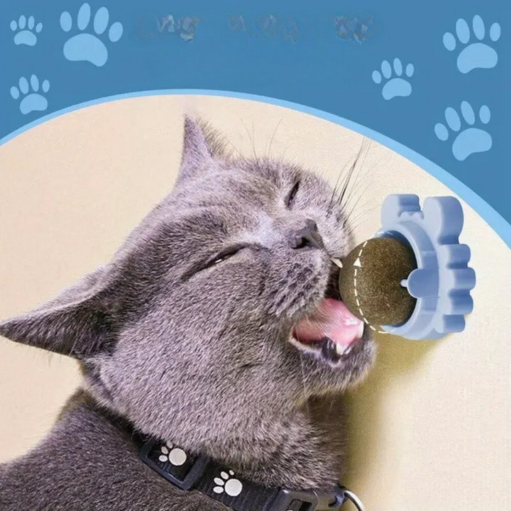 Detailansicht des Katzenminze Balls, natürliches Katzenspielzeug für spielerischen Stressabbau.