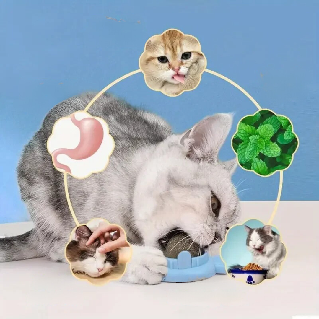 Katzenminze Ball zur Zahnpflege & Stressabbau bei Katzen, fördert gesundes Spielverhalten.