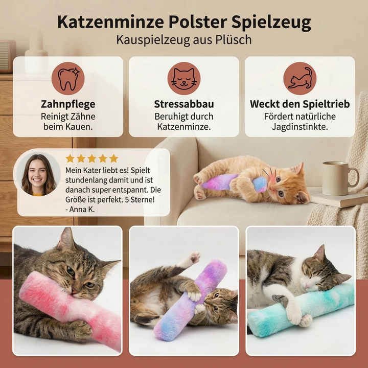 Weiches Katzenminze Spielkissen, robust & verspielt, perfekt für jede Katze, fördert Interaktion.