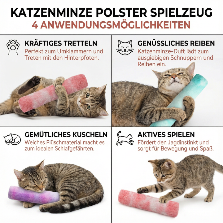 Katze spielt mit interaktivem Katzenminze Polster, animiert zum Fangen, Kauen & natürlichem Spiel.