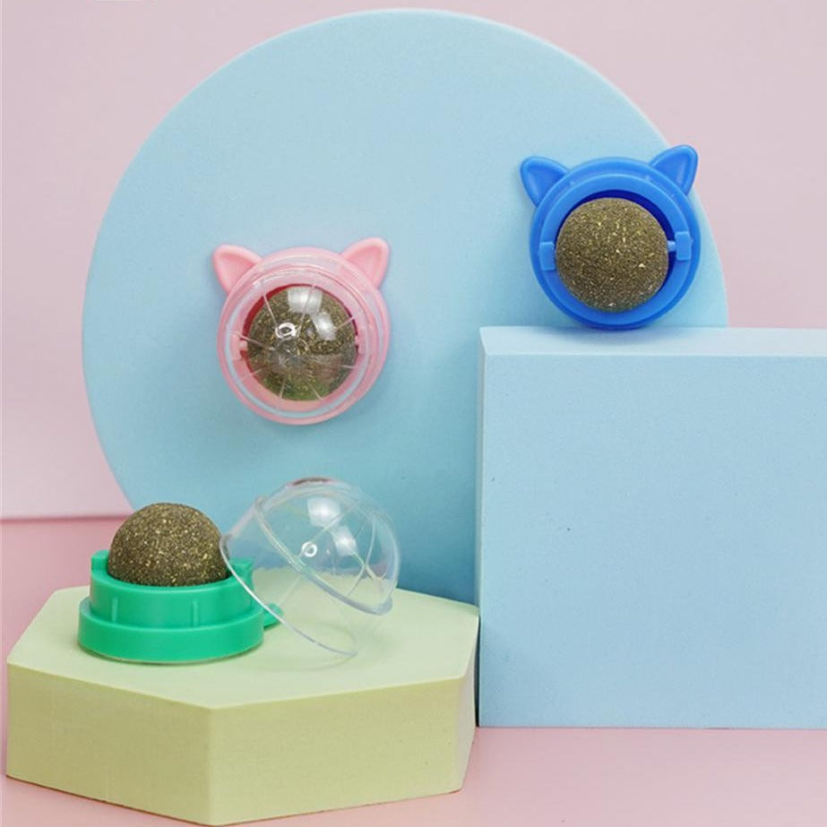 Aktive Katze genießt Katzenminze Wandspielzeug. Ideal für Zahnpflege, Wohlbefinden und interaktiven Spielspaß.