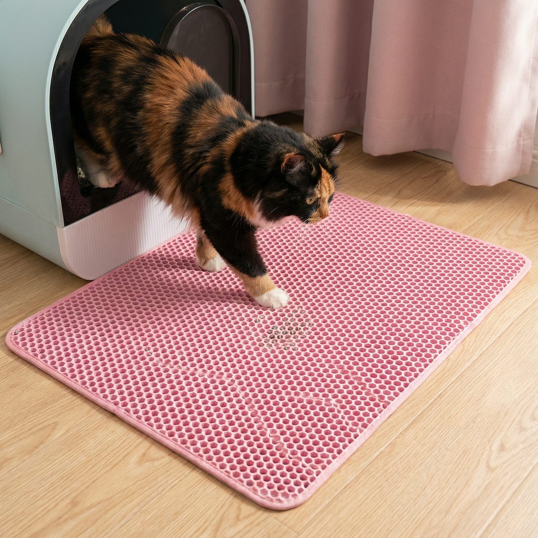 Katzenstreumatte für saubere Pfoten und Böden, fängt Streu zuverlässig auf.