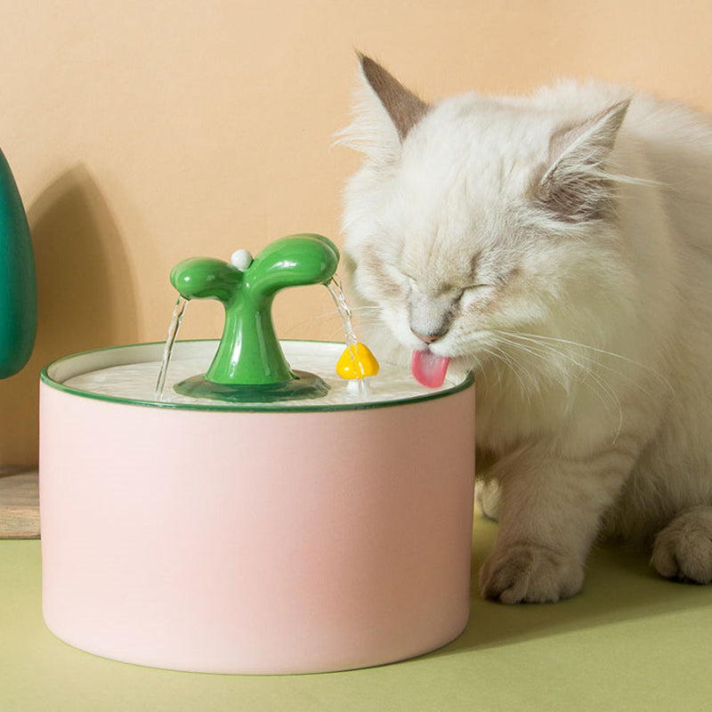 Einfache Reinigung des Keramik Wasserspenders; hygienisch und langlebig für Ihre Haustiere.