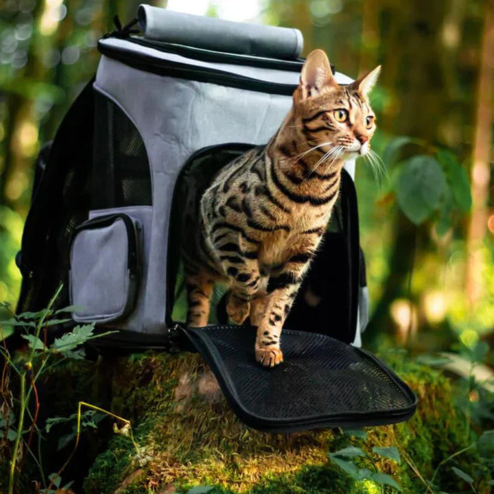 Komfortabler grauer Katzenrucksack für sichere Reisen. Perfekt für den Katzentransport.
