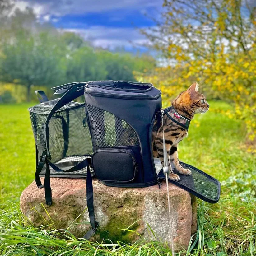 Robuster Katzenrucksack für Wanderungen & sicheren Transport Ihrer Katze. Komfortables Haustierzubehör.