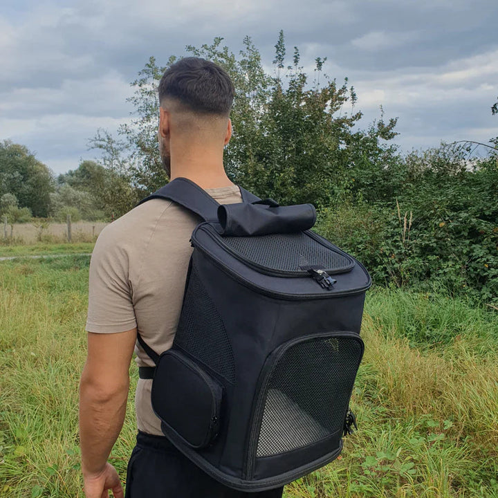 Glückliche Katze im komfortablen PurrPack™ Reiserucksack, bereit für Abenteuer. Sicherer Katzentransport.