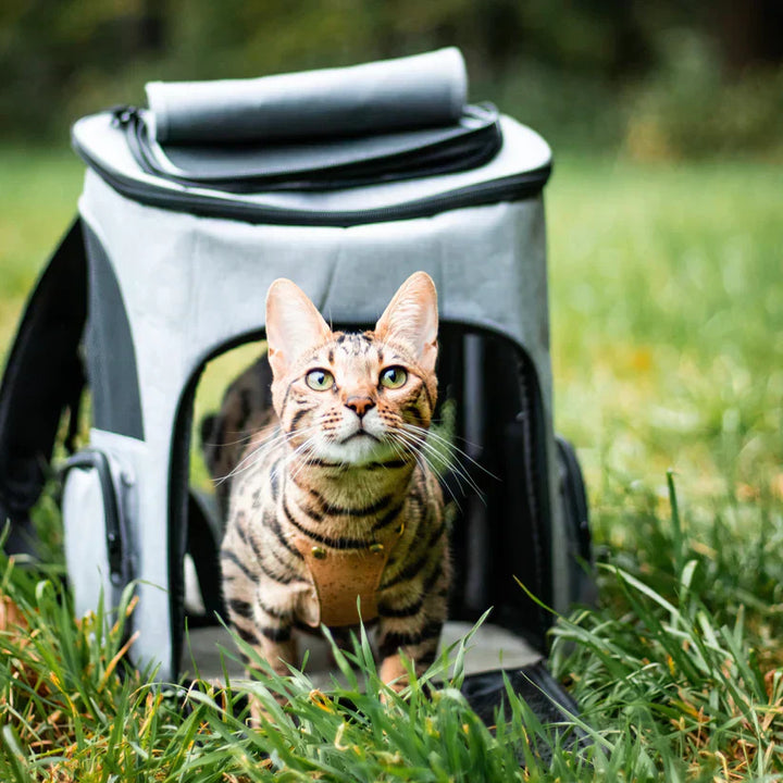Atmungsaktiver Katzenrucksack, ideal für sichere & komfortable Ausflüge mit Ihrem Haustier; grau/schwarz.