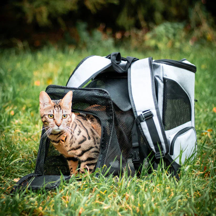 Moderner schwarzer Katzenrucksack mit Sichtfenster für bequemen Katzentransport. Komfortabel & sicher.