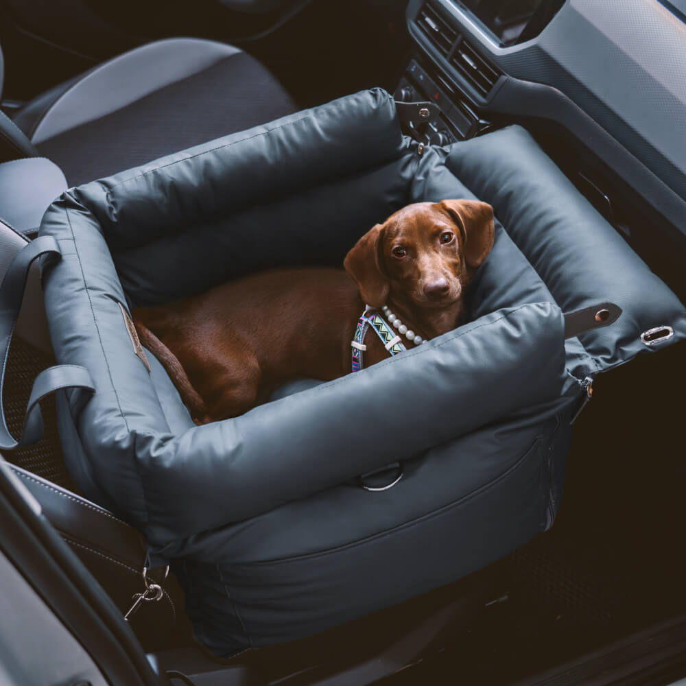 Gemütlicher Reisesitz für Hunde, hochwertiges Kunstleder & maximale Sicherheit.