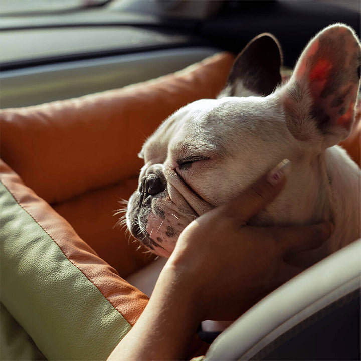 Gemütlicher Hundeautositz aus Kunstleder, sicherer Transport für kleine Hunde.