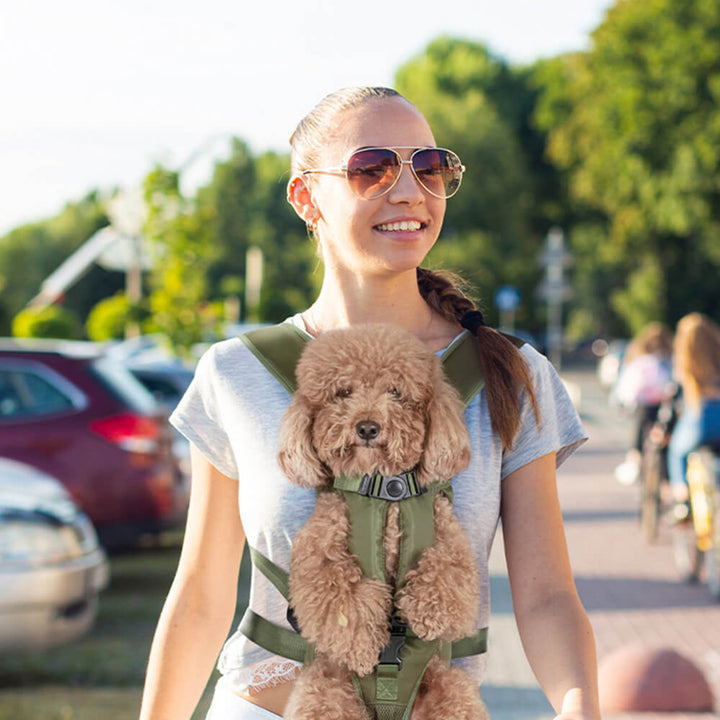 Komfortabler Hunderucksack für entspannte Abenteuer, ergonomisch und sicher. Hundetransporttasche.