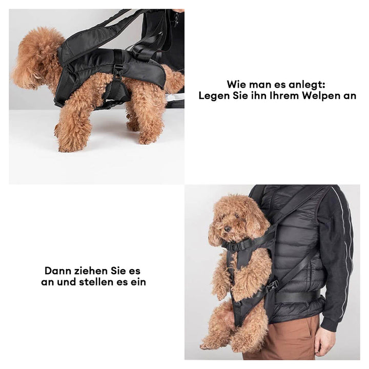 Outdoor Hundetragetasche, wasserdicht, atmungsaktiv, ideal für Abenteuer & Wanderungen mit dem Hund.