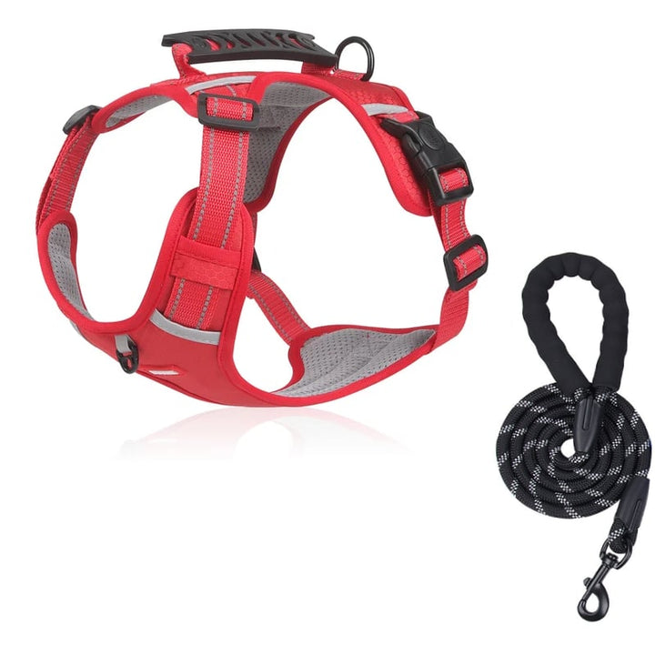 Robuster D-Ring für Leine am zugfreien Hundegeschirr. Reflektierend, strapazierfähig, für sichere Kontrolle beim Spaziergang.