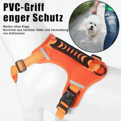 Ergonomisches Komfort-Hundegeschirr mit atmungsaktivem Mesh. Verstellbar, kein Zug, ideal für Welpen & kleine Hunde.