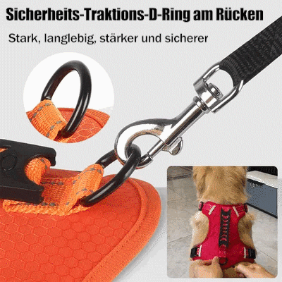 Verstellbares Hundegeschirr für perfekten Sitz. Bruchsicher, reflektierend & zugfrei für maximale Sicherheit.