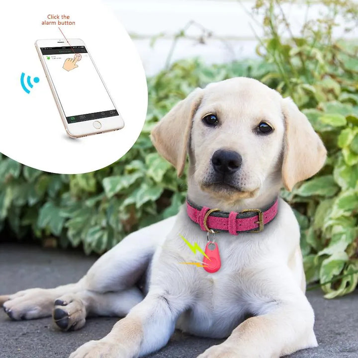 Kompakter GPS-Tracker für Haustiere zur präzisen Ortung von Hunden & Katzen; wasserdicht & robust.