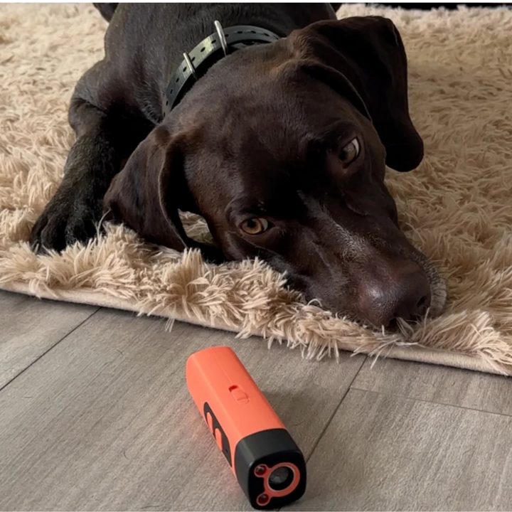 Hunde-Anti-Bell Ultraschall-Trainer für sanftes und effektives Hundetraining zur Bellkontrolle und Entspannung.