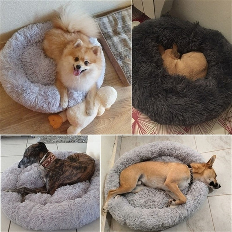 Angstlösendes Donut Tierbett in Grau, plüschig & rund. Bietet Komfort für Hunde und Katzen.