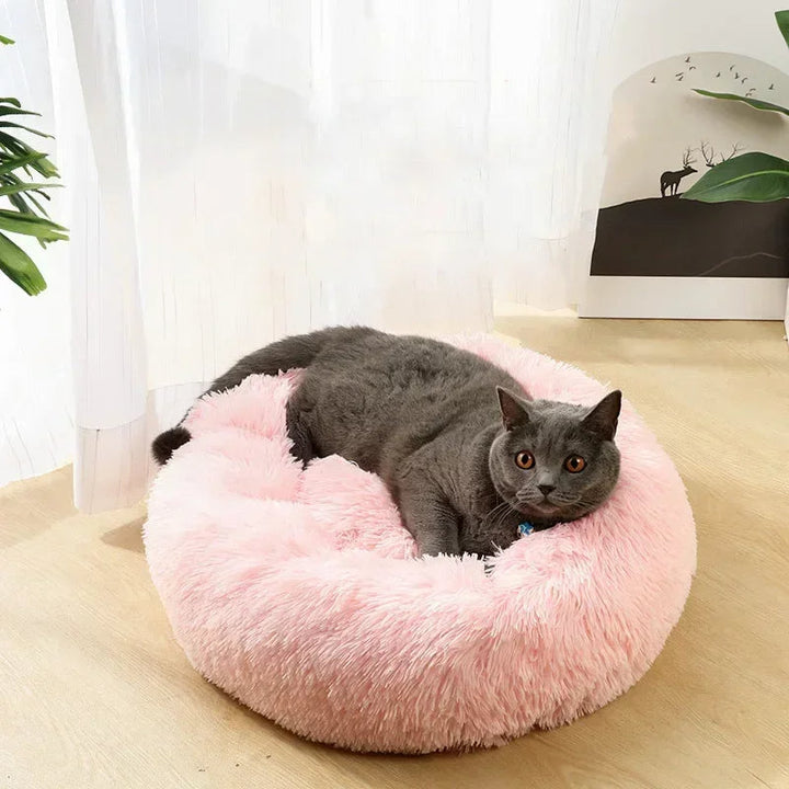 Kuscheliges Wolken Katzenbett für tiefen Schlaf & Entspannung. Gemütlicher Plüsch-Schlafplatz für Katzen.