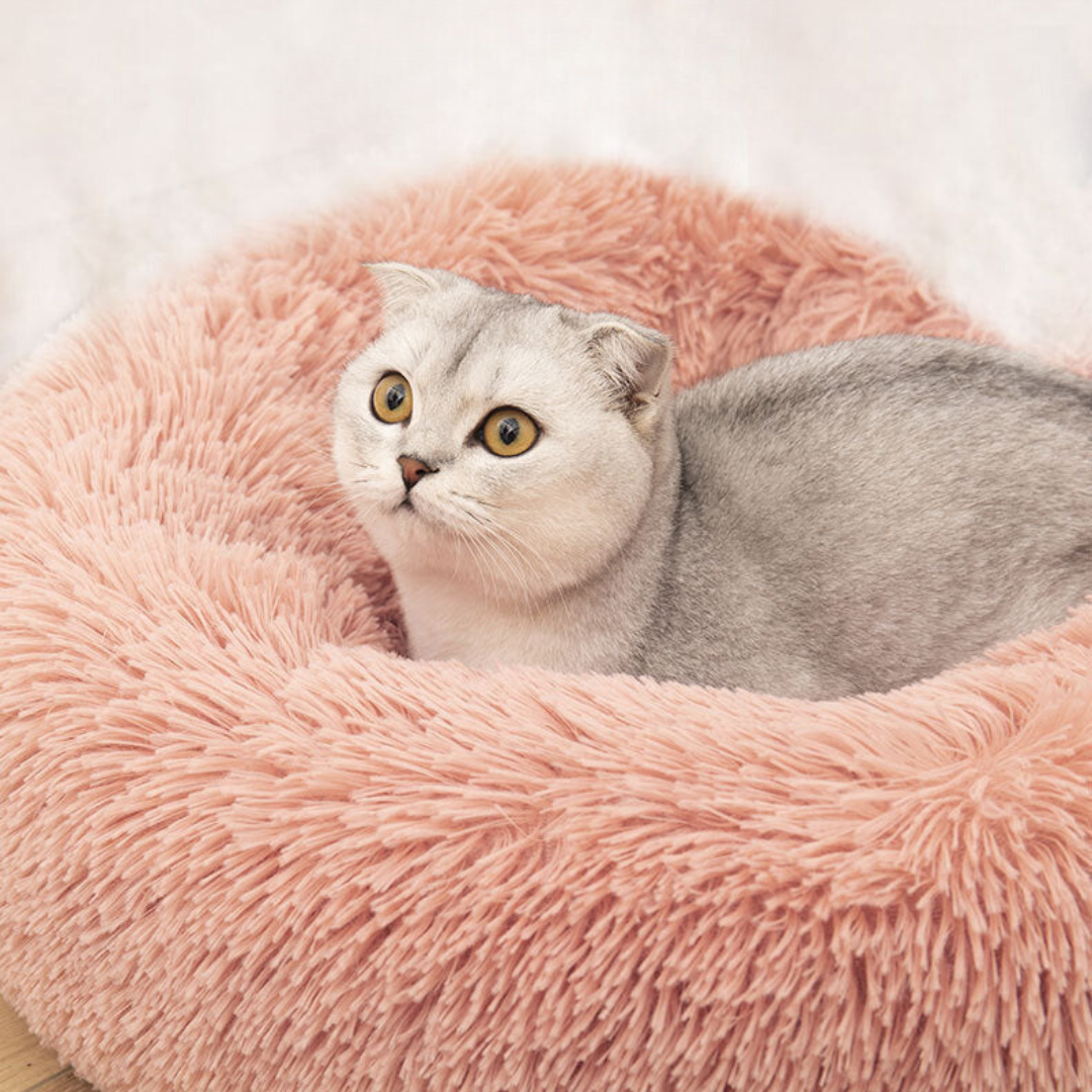 Gemütliches Plüschbett für Katzen in Wolkenform. Luxuriöser, weicher Schlafplatz für dein geliebtes Haustier.