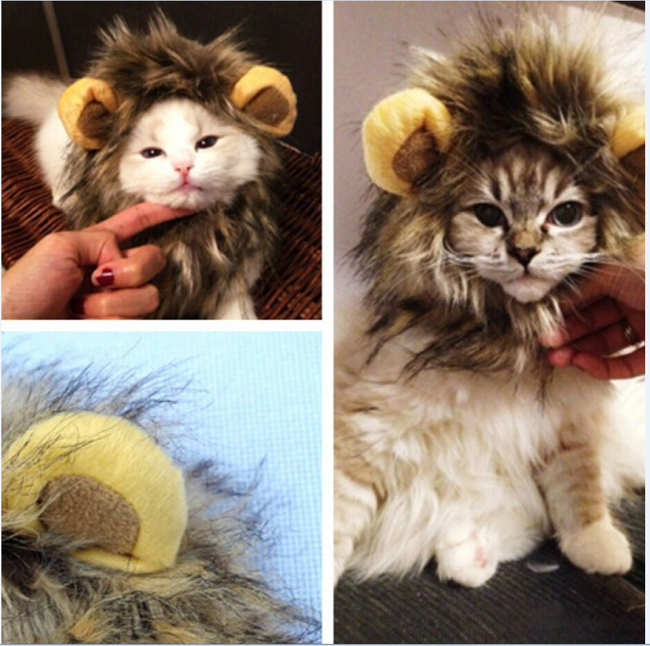 Weiche Plüsch-Löwenmähne für Katzen, ideal als Kostüm für Halloween, Karneval oder lustige Verkleidungen.