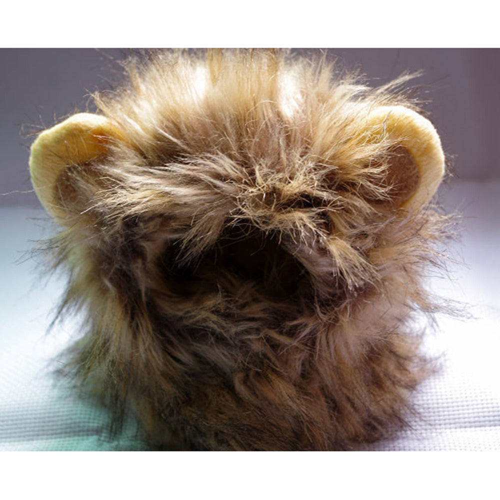 Königliche Löwenmähne als Katzenaccessoire, verwandelt deine Katze spielerisch in einen kleinen Dschungelkönig.