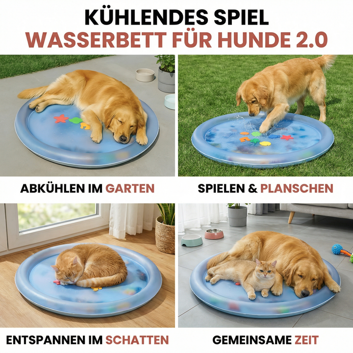Hundespielmatte mit Wasserdüsen im Garten, bietet Hunden Spaß und Abkühlung an heißen Tagen.