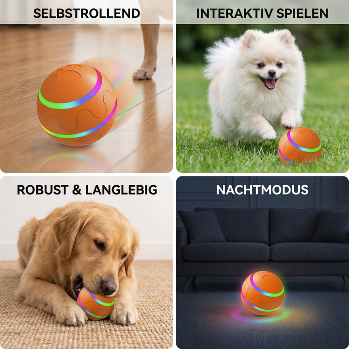 Interaktiver Spielball für Hunde. Fördert Aktivität & Beschäftigung. Langlebiges Hundespielzeug, selbstrollend.