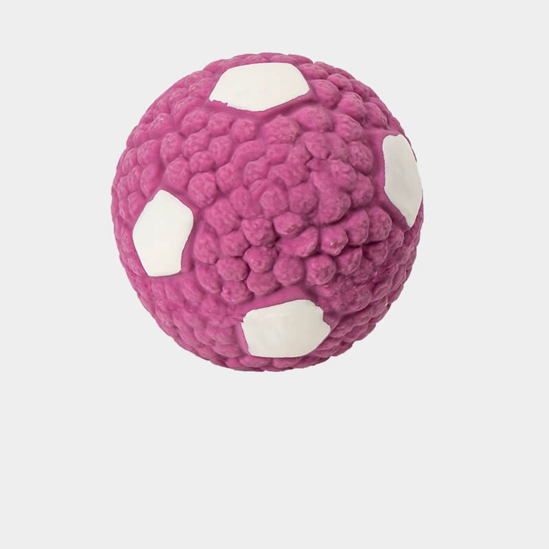 Robustes Latex-Quietschball-Hundespielzeug, ideal als Kauspielzeug für aktive Hunde & Welpen.