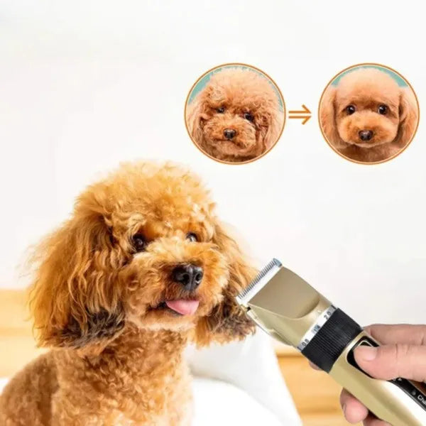 Lautloses Felltrimmer Set für Hunde, ideal für schonende und effiziente Hundepflege zu Hause.