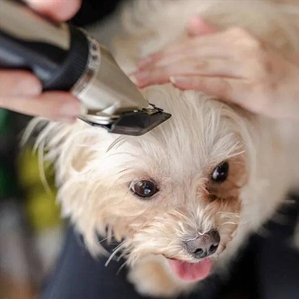 Professionelles Felltrimmer Set für Hunde, lautlos und leistungsstark für präzise Hundepflege.