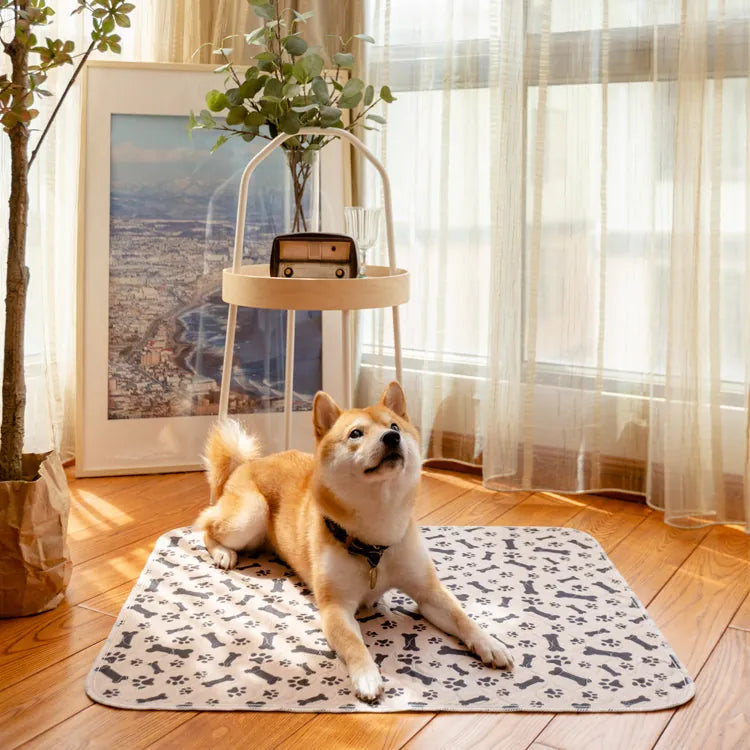 Leckfreie PetPaws Haustiermatte zum Bodenschutz; komfortabel für Hunde & Katzen, waschbar & wiederverwendbar.