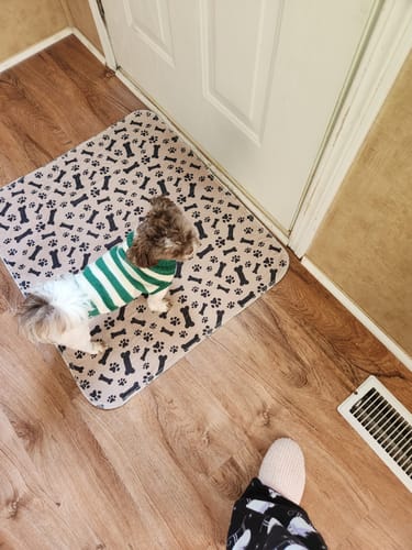 Vielseitige PetPaws Tierbedarf-Matte, leckfrei, waschbar & geruchsneutralisierend; als Hundematte & Katzenmatte nutzbar.