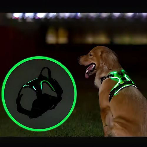 LED Hundegeschirr für optimale Sichtbarkeit bei Nachtspaziergängen. USB aufladbar, für erhöhte Hundesicherheit.
