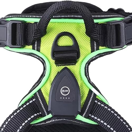 Robustes LED Geschirr für Outdoor-Hunde. Steigert die Sichtbarkeit und Sicherheit bei jedem Spaziergang.