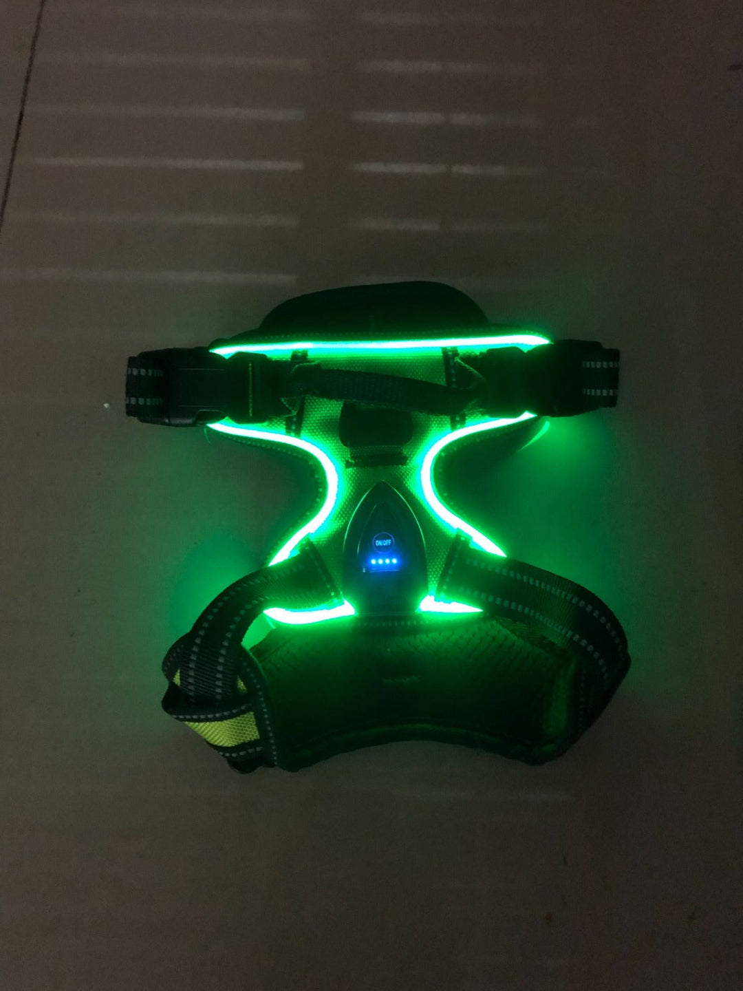Sichtbares LED Hundegeschirr für optimale Hundesicherheit bei Nacht. Tier Zubehör, einfach via USB aufladbar.