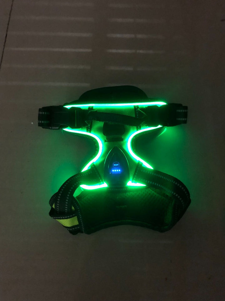 Sichtbares LED Hundegeschirr für optimale Hundesicherheit bei Nacht. Tier Zubehör, einfach via USB aufladbar.