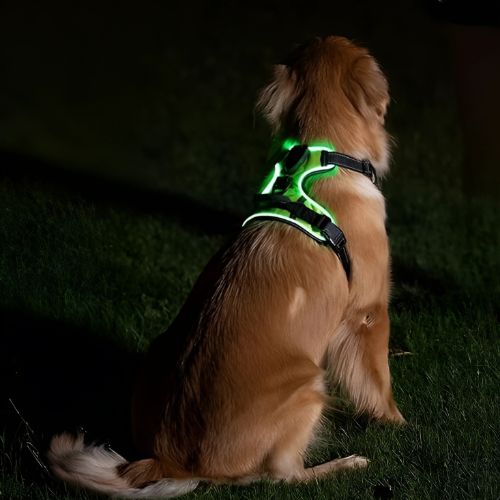 Modernes LED Hundegeschirr mit Leuchtfunktion. Unverzichtbar für Nachtspaziergänge und Dämmerung, USB aufladbar.