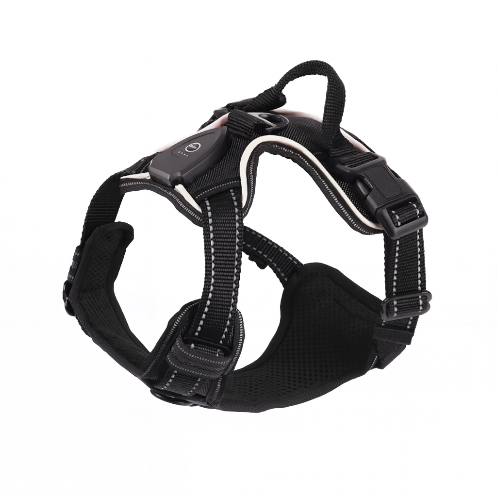 Reflektierendes LED Hundegeschirr für maximale Sichtbarkeit. Ideal für sichere Outdoor-Erlebnisse bei Dunkelheit.