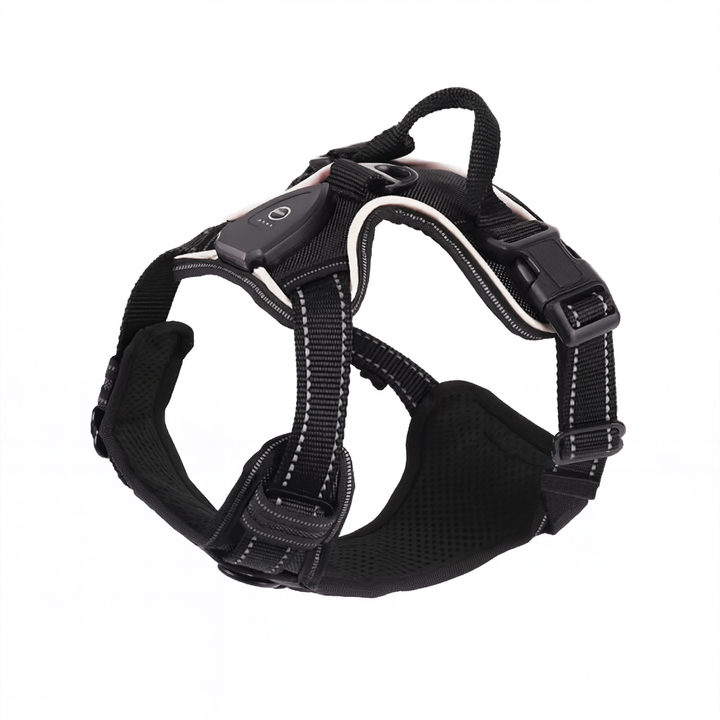 Reflektierendes LED Hundegeschirr für maximale Sichtbarkeit. Ideal für sichere Outdoor-Erlebnisse bei Dunkelheit.